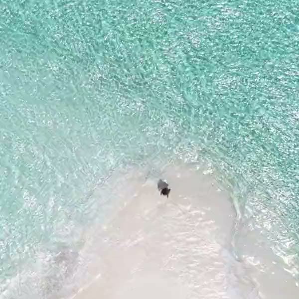 Aerial of clear shallows at the edge of a sandbank