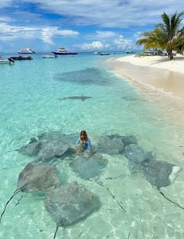 Swimming with stingrays in clear shallow water