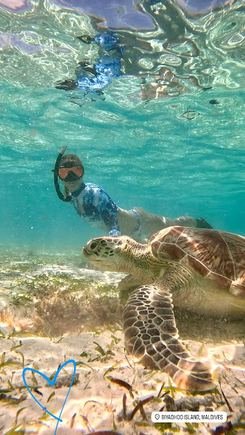Green sea turtle gliding over the reef
