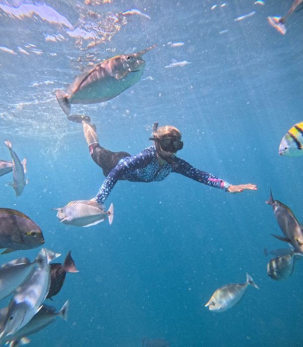 Snorkelers surrounded by a school of fish