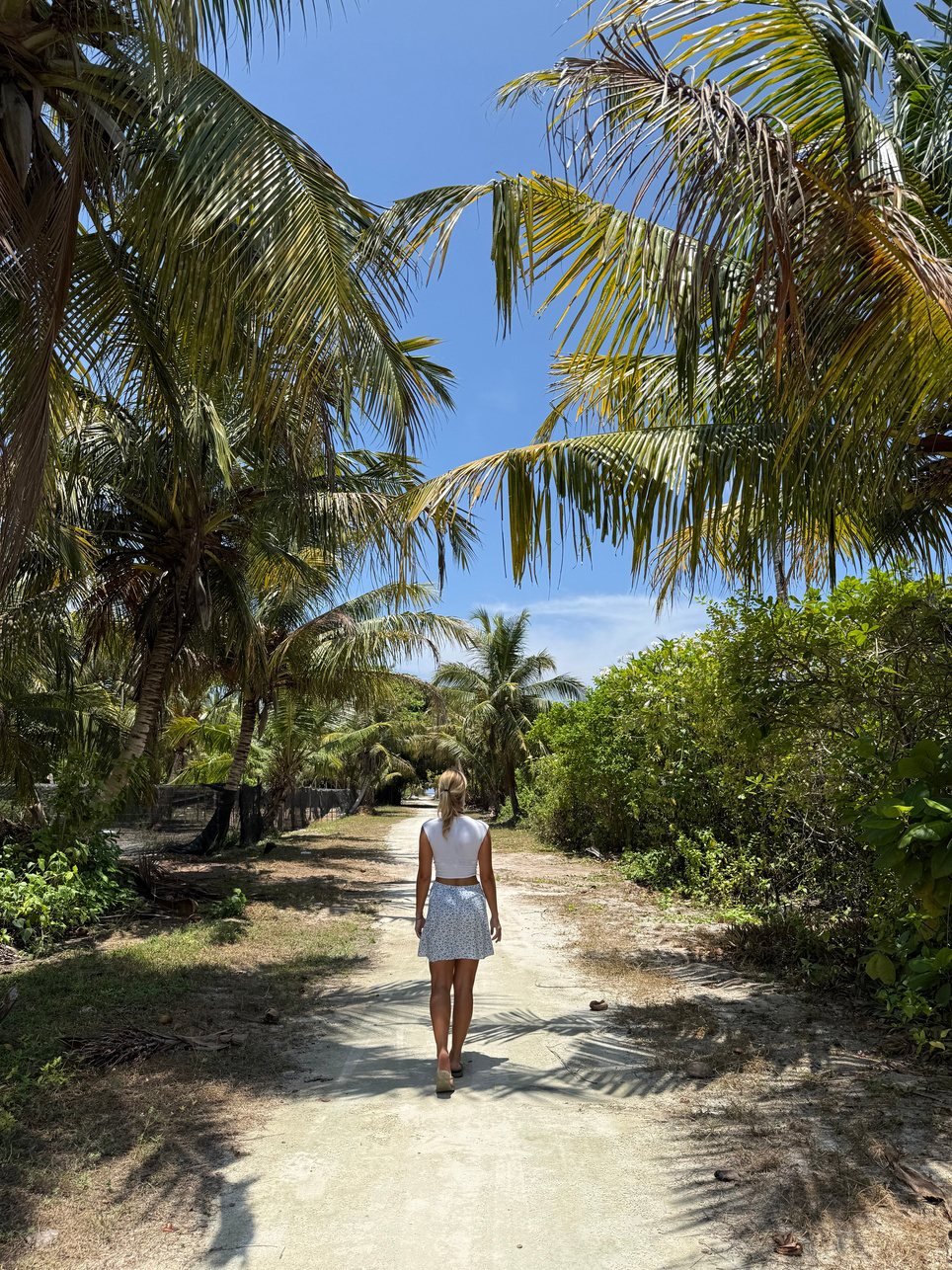 A quiet sandy path lined with palm trees on Fehendhoo